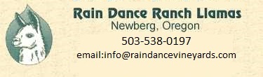 Rain Dance Ranch Llamas logo